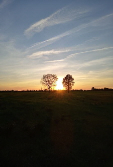 Edewecht(Sonnenuntergang)